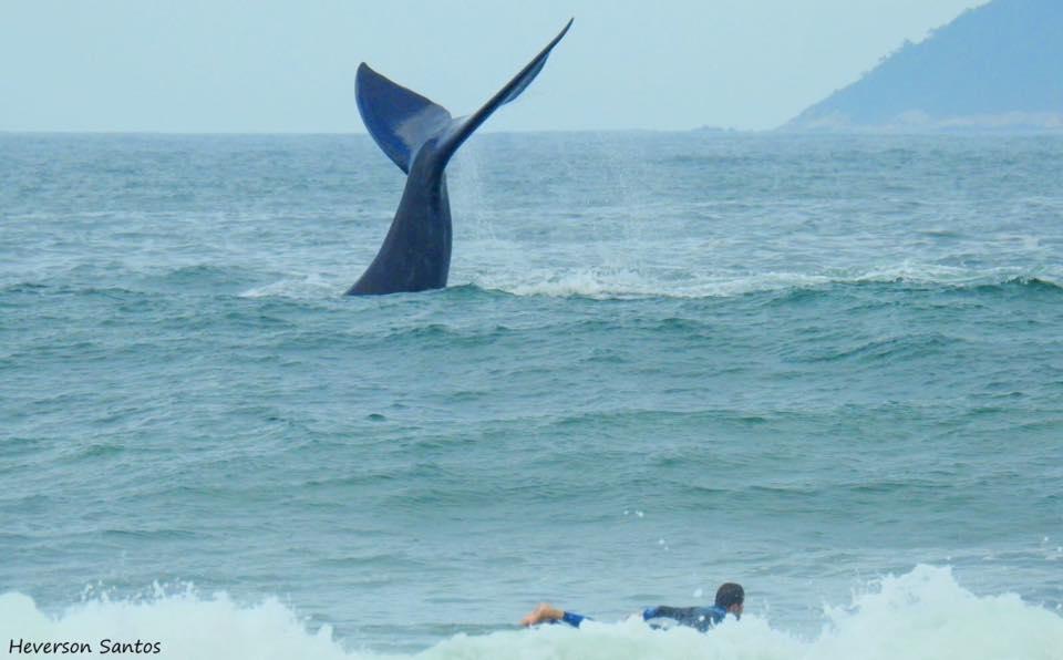Tranquilidade Na Praia Da Gamboa غاروبابا المظهر الخارجي الصورة